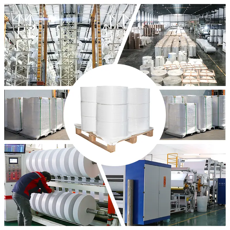 Direct Thermal Label Supplier Cheap Waterproof Jumbo Roll