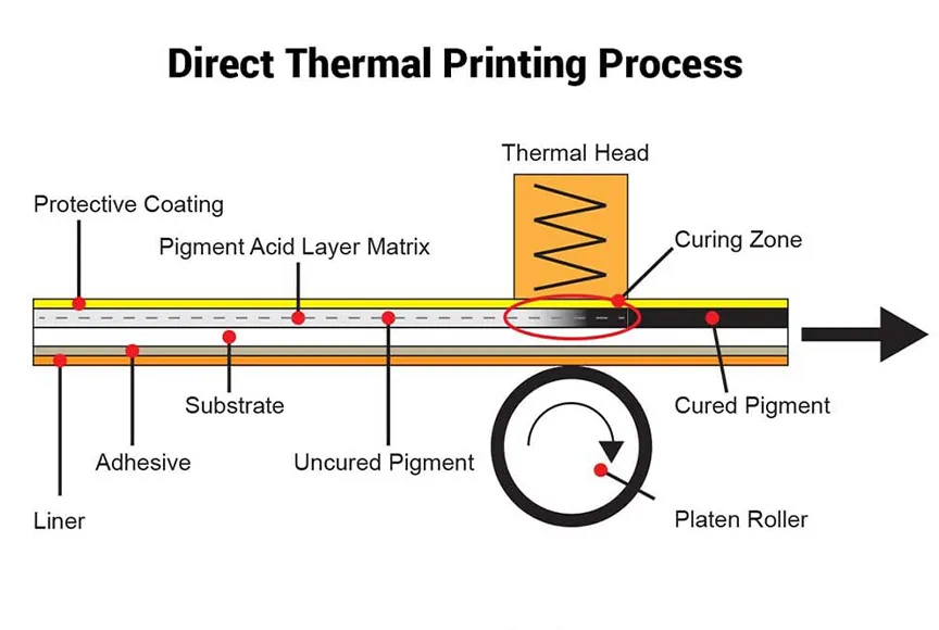 Thermal Transfer Labels (1)