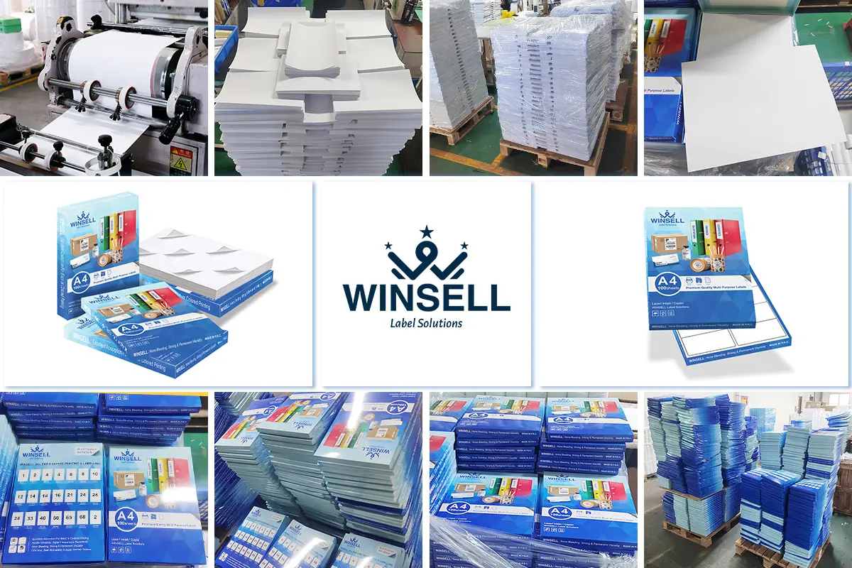 winsell5ba