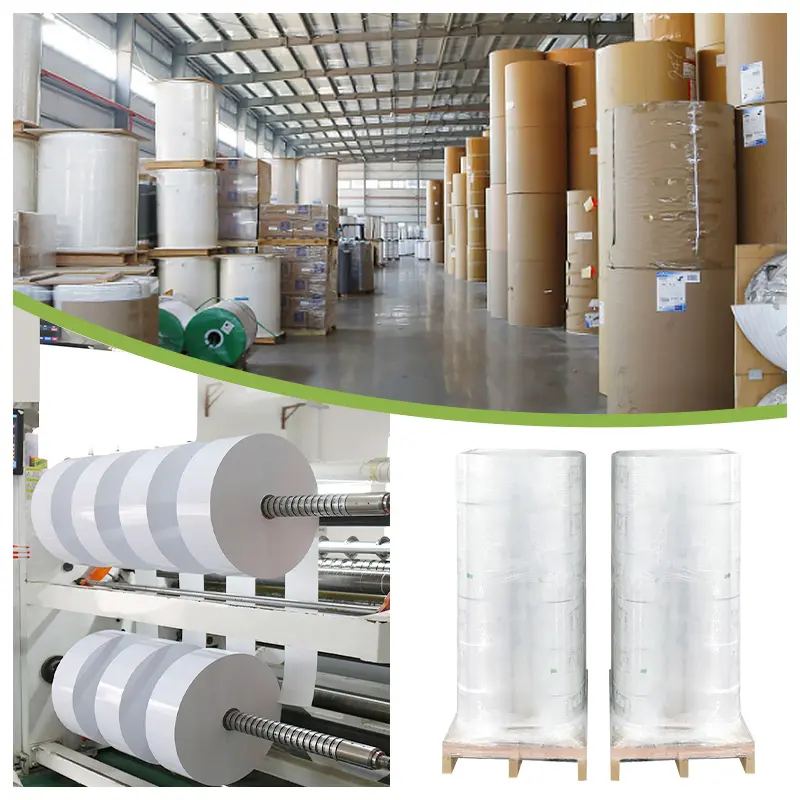 Direct Thermal Label Supplier Cheap Waterproof Jumbo Roll